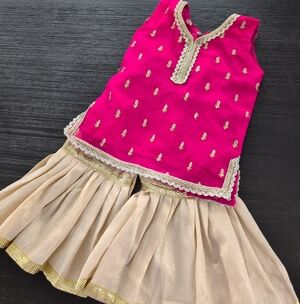 Pink and Gold Embroidered Sleeveless Top with Cream Skirt